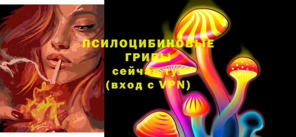 бошки Богородицк