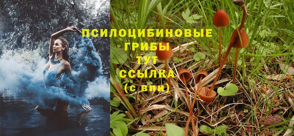 дживик Белая Холуница