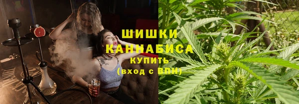 бошки Богородицк